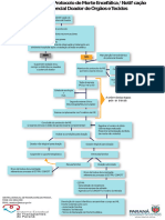 Checklist - Fluxograma Protocolo de Morte Encefalica