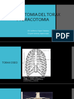 Anatomia Del Torax y Toracotomia