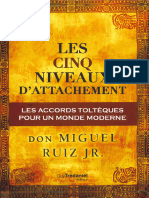 Les Cinq Niveaux Dattachement Les Accords Toltèques Pour Un Monde