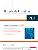 Síntesis de Proteínas (INGRESO MEDICINA UNC)