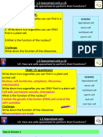Task:: Specialised Cell Nerve Cell Red Blood Cell Sperm Cell Leaf Cell Root Hair Cell