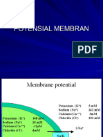 Potensial Membran Istirahat