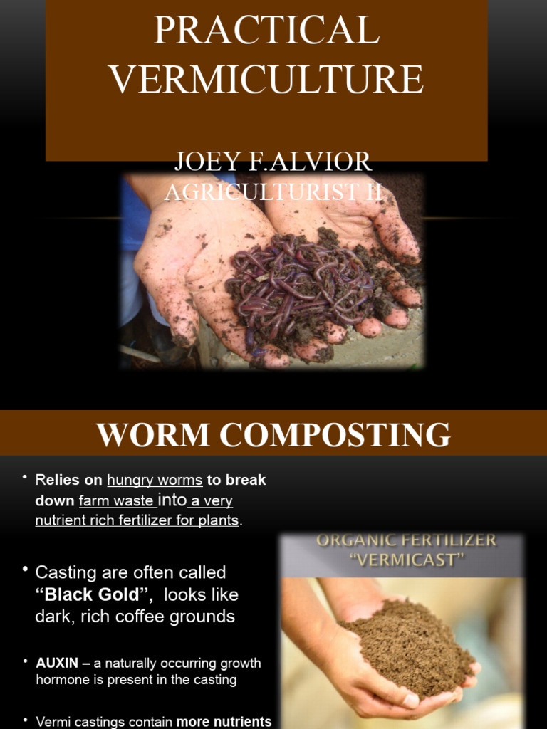 Vermiculture PDF Compost Agriculture