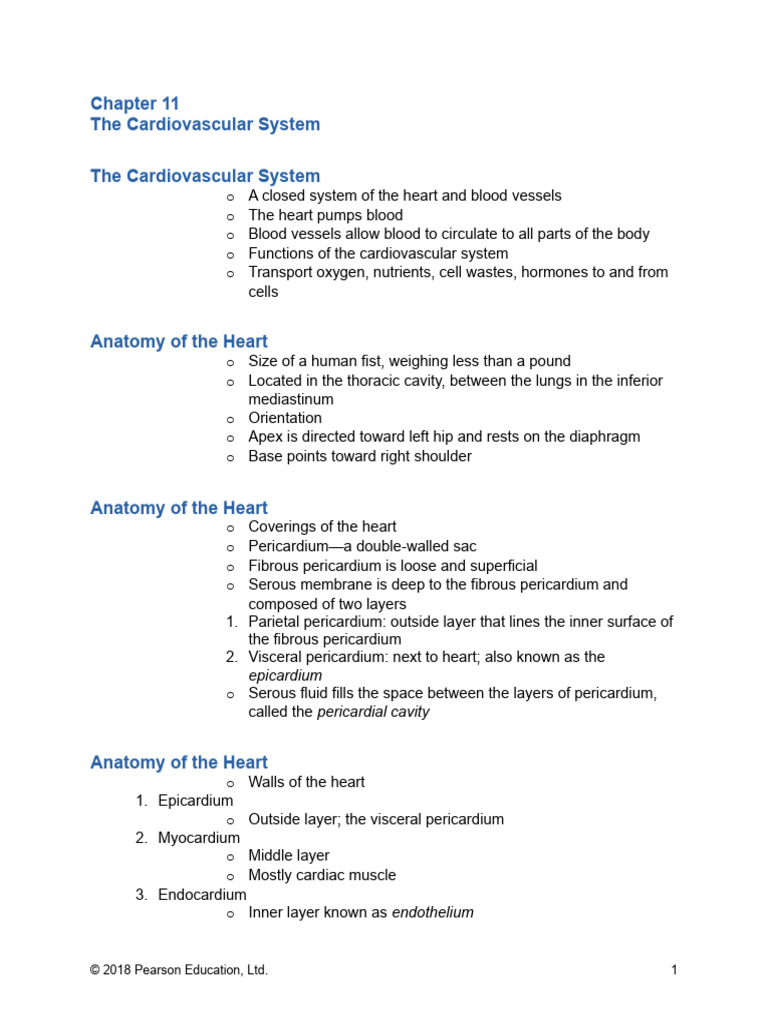 Chapter 11 The Cardiovascular System | Download Free PDF | Heart Valve ...