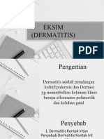 Eksim (Dermatitis)