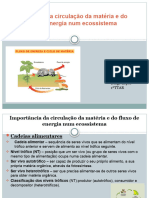 Importância Da Circulação Da Matéria e Do Fluxo de Energia