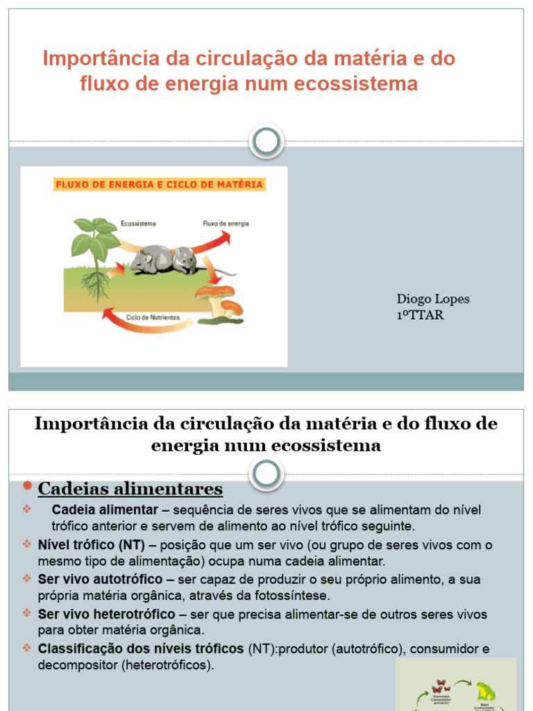 Ciclo da Matéria e Fluxo de Energia | PDF | Natureza | Geociências