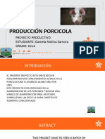 Produccion Porcicola