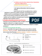 Cour L Alimentation Chez Les Etres Vivants