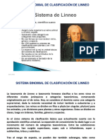 Presentacion-Sistema de Clasificacion Binonmial de Linneo