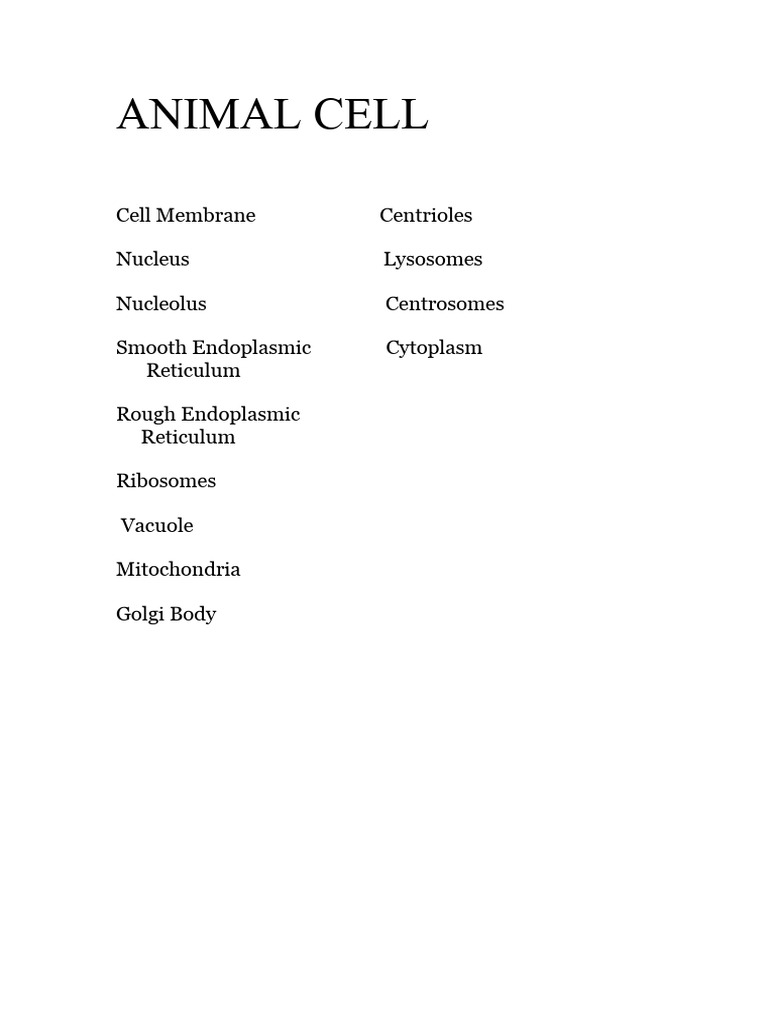 Animal Cell Structure Overview | PDF | Science & Mathematics