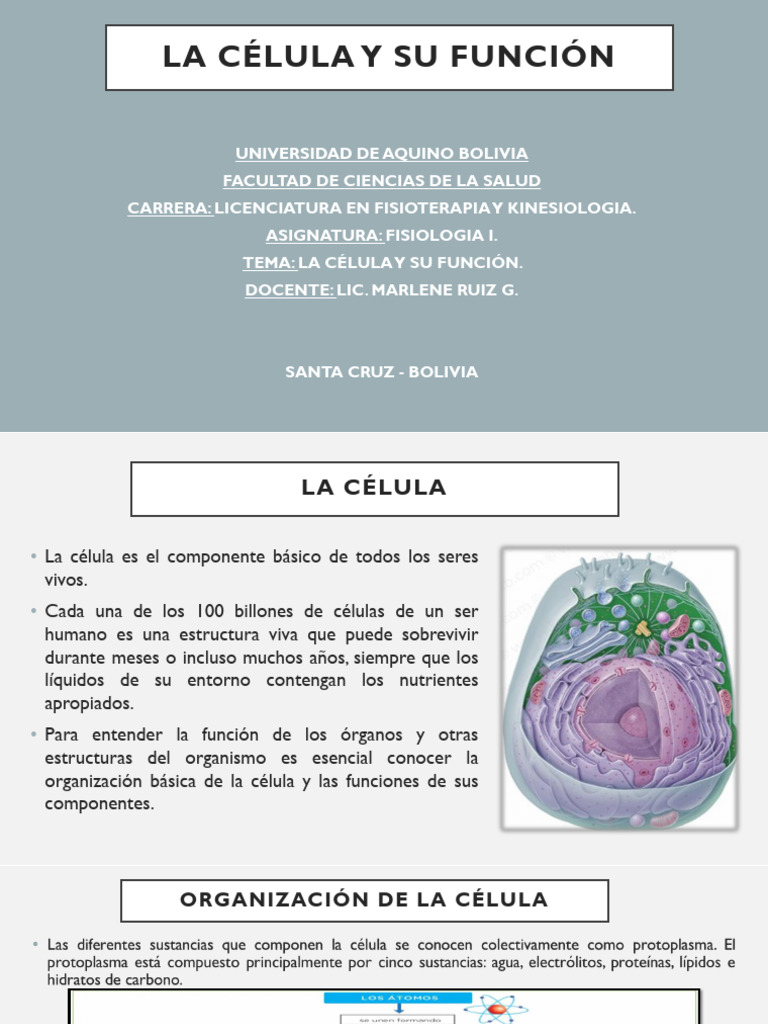 Composición y Función de la Célula | PDF | Citoplasma | Membrana celular