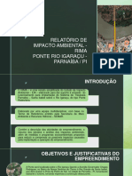 Apresentação Do Relatório de Impacto Ambiental - Rima