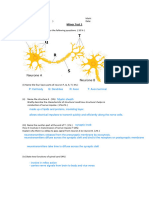 Minor Test 1: P: Cell Body Q: Dendrites R: Axon T: Axon Terminal