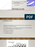 Épithelium