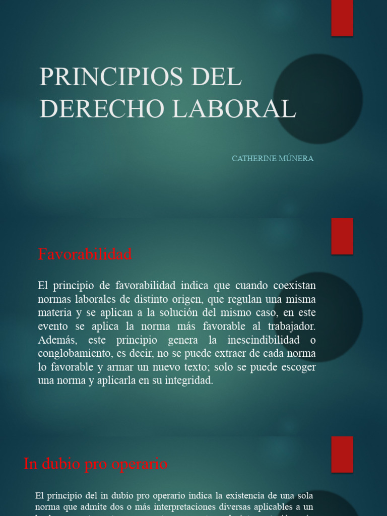 Principios Del Derecho Laboral Individual | PDF | Derecho laboral ...