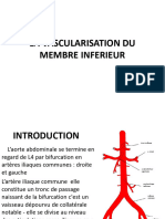 La Vascularisation Du Membre Inferieur-Converti