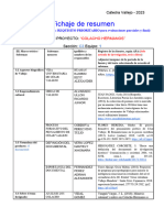 Ficha de Resumen 2