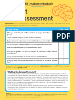 Mindset Self-Assessment Questionnaire