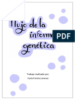 BIOMOL - Flujo de La Información Genética. Freiría Lorenzo, Carla.