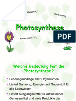 Photosynthese - Transport de