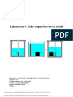 FIS1523 Laboratorio 1 Calor Espec Fico de Un Metal PDF