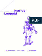 Maniobras de Leopold Embarazo