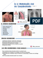 Aparato Respiratorio-Anatomía 