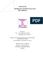 Makalah Perkembangan Prenatal Dan Kelahiran PDF 2