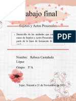 Trabajo Final Sujetos y Actos Procesales