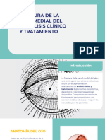 Wepik Fractura de La Pared Medial Del Ojo Analisis Clinico y Tratamiento 20230901194709DoXl