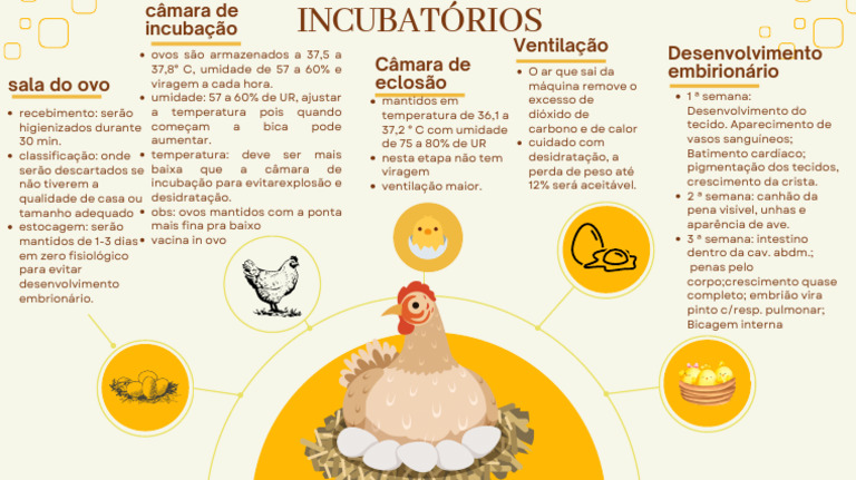 Incubação e Desenvolvimento de Ovos | PDF | Ovo