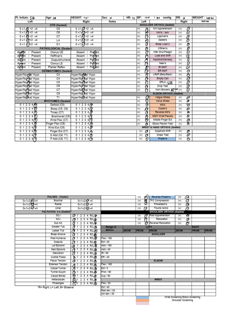 Upper Extremity EXAM PDF Joints Human Anatomy
