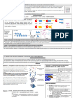 TP LACTASE Spécialité Enzymatique