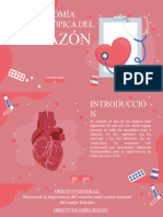 Anatomía Macroscópica Del Corazón