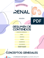 Insuficiencia Renal Aguda