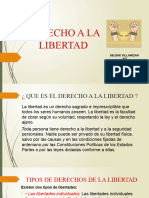 Derecho A La Libertad Selene Villamozar