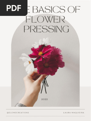 Basics to start pressing flowers 