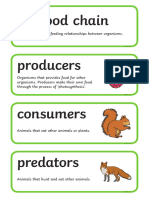 T2 S 007 Food Chain Word Cards