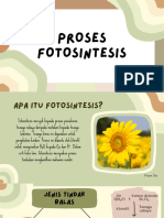 Proses Fotosintesis