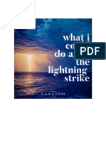 Steve Wachner - What I Could Do After The Lightning Strike
