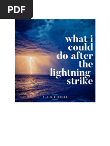 Steve Wachner - What I Could Do After The Lightning Strike