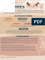 Tiroides Infografia