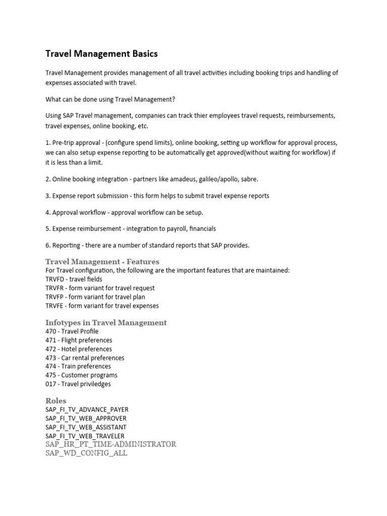 Travel management basics pdf