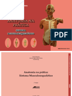 ANATOMIA NA PRATICA