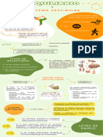 Infografía Equilibrio y S.V.