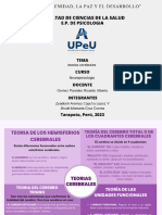 Cuadro Comparativo Nuero