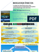 CLASE Ciclos Biogeoq