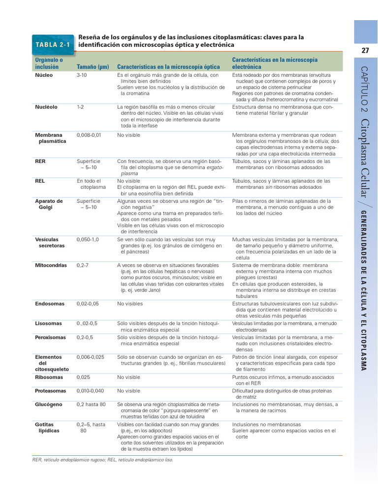 Tablas Organulos (Ross 7ed 2016) | PDF | Citoplasma | Retículo endoplásmico