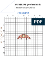 Plano TransversalRectangulo